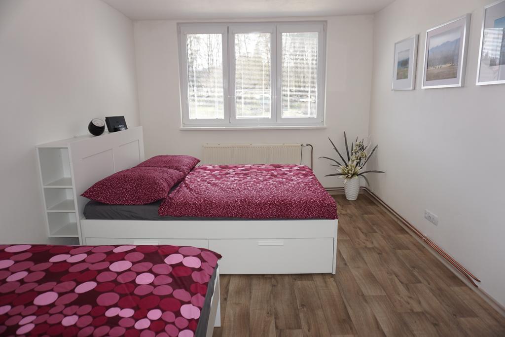 Apartmán Relax Nová Pec Lipno Apartman Kültér fotó